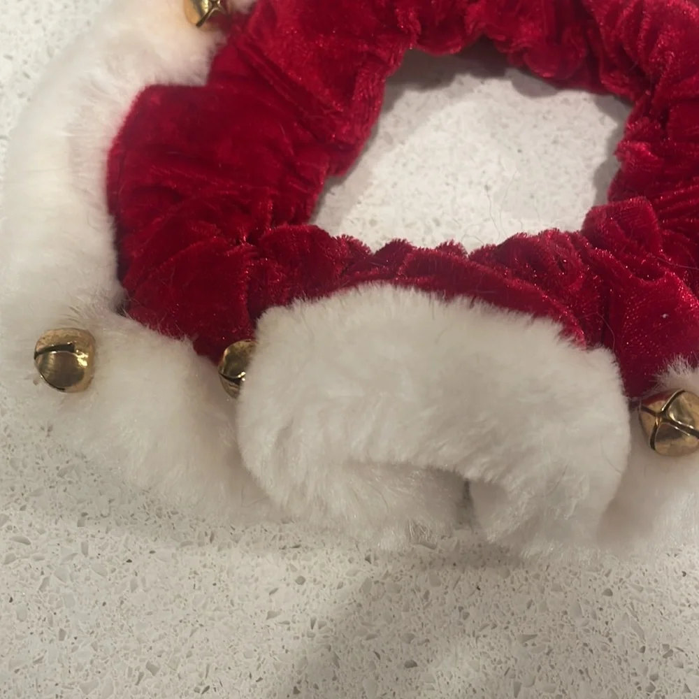 Cat/dog Christmas outfit